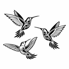 Fototapeta premium Hand drawn hummingbird outline illustration