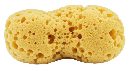 Isolated yellow sponge