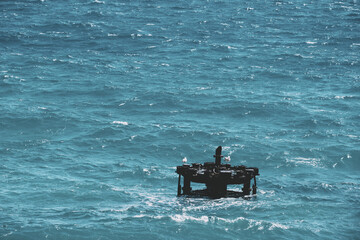 Seagulls resting on ocean platform amidst vast turquoise sea waves