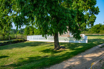 A large green tree stands next to a charming house with a white fence, surrounded by a lush landscape. The sun shines brightly, creating a tranquil atmosphere in the countryside.
