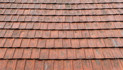 Wet red tile roof with lichen