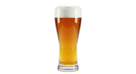 Isolated Glass of Beer