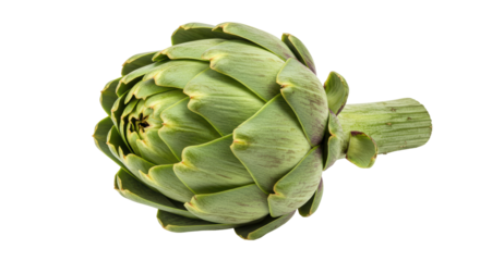 Isolated Artichoke