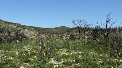 Hiking in the Massif de la Clape in Aude