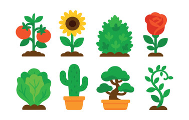 Flat vector icons of garden plants: tomato plant, sunflower, herb bush, rose, lettuce, cactus, bonsai, climbing vine.