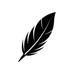 crow feather icon on white background 