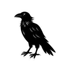 gothic raven silhouette on white background  
