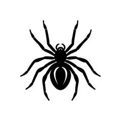spider crawling vector on white background 