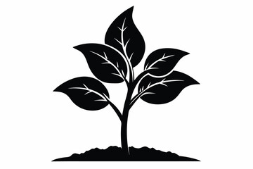 Young tree growing from rich earth with elegant leaves is shown in black