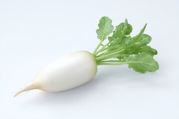Fresh white radish with vibrant green leaves.