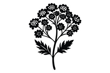 Obraz premium Black flower silhouette showcases clustered blossoms and textured leaves against a white backdrop