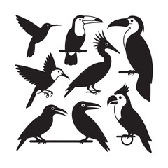 Collection of Bird Silhouettes Toucans Hummingbirds and Other Avian Species