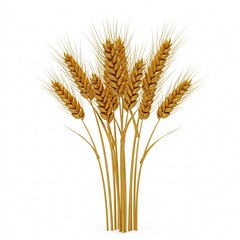 Fototapeta premium Bunch of wheat ears tied together, isolated on a white background