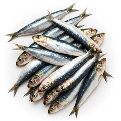 Obraz premium Pile of fresh European sardines (pilchardus sardinus) on a white background