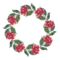 illustration of a wreath of camellia flowers with leaves isolated on a white background