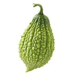 Bitter melon with warty surface texture and distinct silhouette, cleanly isolated.