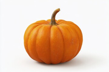 Obraz premium A vibrant orange pumpkin, perfectly ripe for autumn.