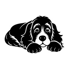 Fototapeta premium black and white puppy