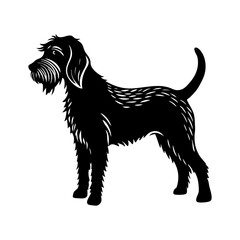 black labrador retriever