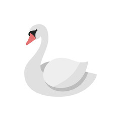 Illustration of a swan with a long neck and white feathers and a black beak with a pink tip isolated