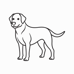 Fototapeta premium labrador retriever dog Vector Art illustration