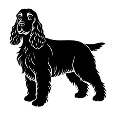 cavalier king charles spaniel dog