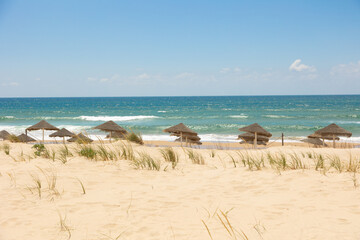 Straw beach umbrellas casting shadows on the golden sand of Costa da Caparica, Portugal. A tranquil seaside scene under a bright sky, perfect for relaxation and summer holiday imagery.