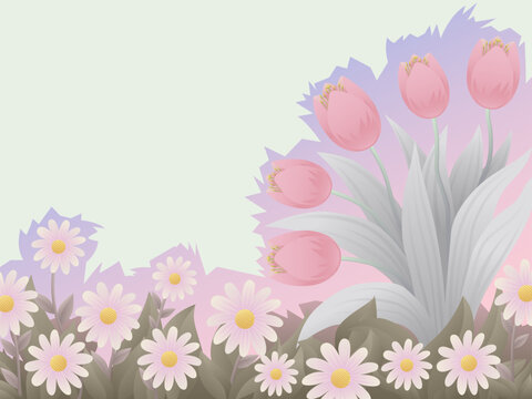 Fototapeta Mother's Day card with tulips. pastel background for inscriptions with a flower bouquet of tulips and daisies for a postcard.