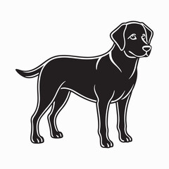 Fototapeta premium labrador retriever dog Vector Art illustration