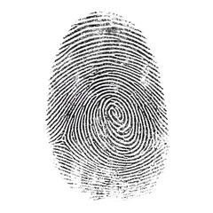 Unique Fingerprint Identity Mysterious Swirl Black Ink Print