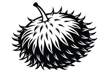 Spiky buckeye seed pod is presented in the monochrome on a white backdrop