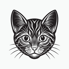 domestic shorthair cat Vector Art illustration