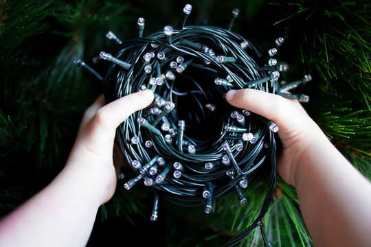 Childs hands holding twinkling Christmas string lights amidst greenery - Powered by Adobe