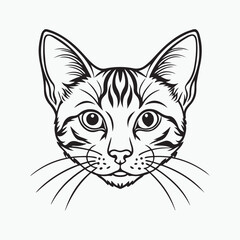 domestic shorthair cat Vector Art illustration