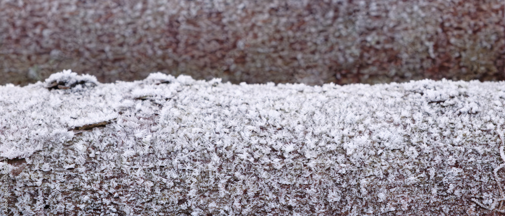 Poster Wooden log with bark covered with frost as texture background for web banner page template
