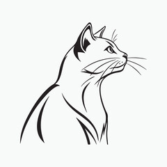 domestic shorthair cat Vector Art illustration