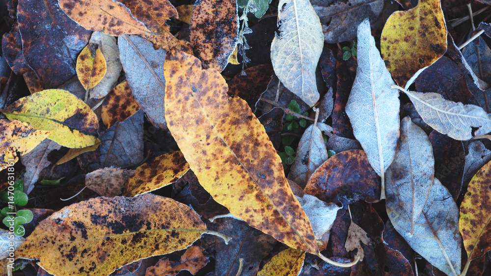 Poster a pile of leaves with some brown spots on them. the leaves are scattered on the ground and some are 