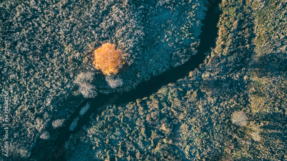 Poster top view A tree is in the middle of a river. The tree is surrounded by water and trees. The water is calm and peaceful