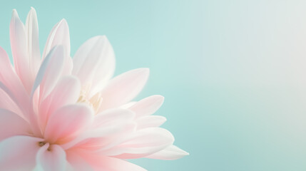 Soft pink flower on a pastel gradient background. Minimal and elegant floral close-up symbolizing beauty, calm, and purity. Ideal for spa, wellness, or romantic design.