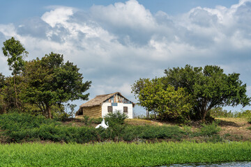 Boot trip on the Jari Canal at Alter do Chao, Santarem District, Para State, Brazil. Natural...