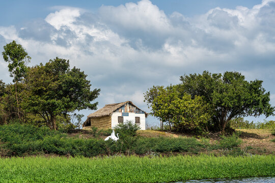 Boot trip on the Jari Canal at Alter do Chao, Santarem District, Para State, Brazil. Natural landscape of flooded areas