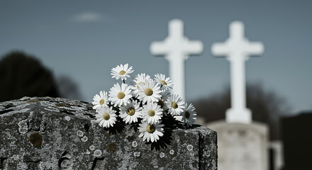 Daisies on grave with white crosses in background evoke somber beauty, remembrance, and the passage of time. A poignant visual narrative.