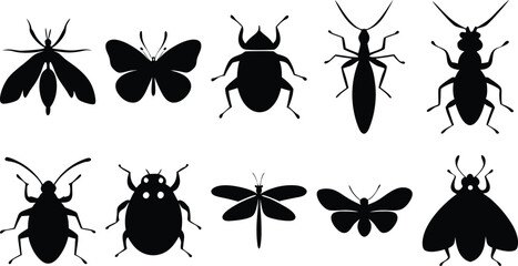 Set of insect silhouettes including beetles, flies, dragonfly, and butterflies – black vector icons