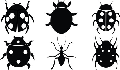 Fototapeta premium Silhouettes of Ladybugs and Ants