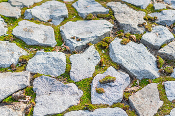 Close-up image of a mossy, lichen-covered stonework showcasing natures transformation and resilience Perfect for environmental, botanical, or ecological articles due to its rich textures and intric