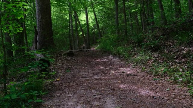 Pocahontas State Park