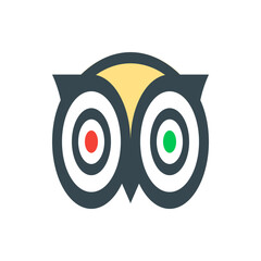 Illustration of an abstract owl face with large eyes and a yellow forehead marking design element
