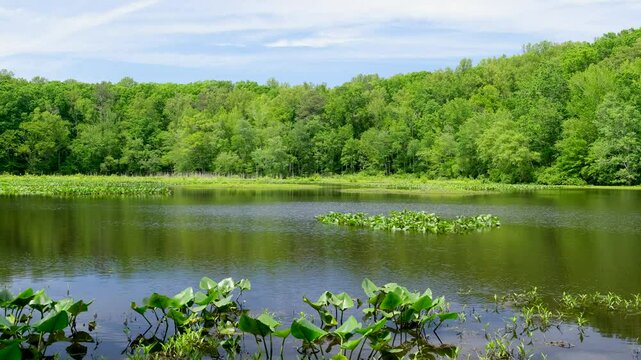 Pocahontas State Park
