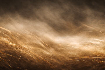 Golden Wheat Field in Wind: Abstract image of a golden wheat field swaying gently in the wind, creating a hazy, dreamy atmosphere with soft light.