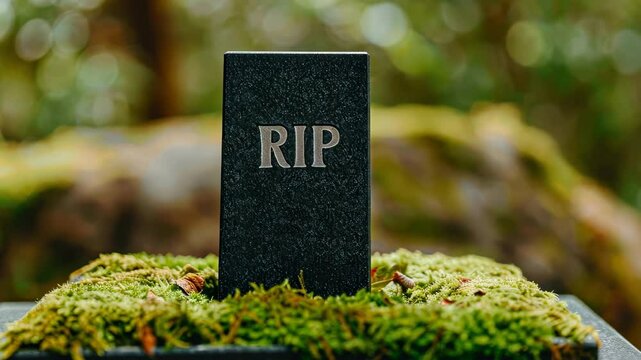 Epitaph's Echo: A poignant monument stands as a testament to life's fleeting nature, etched with the poignant acronym "RIP".